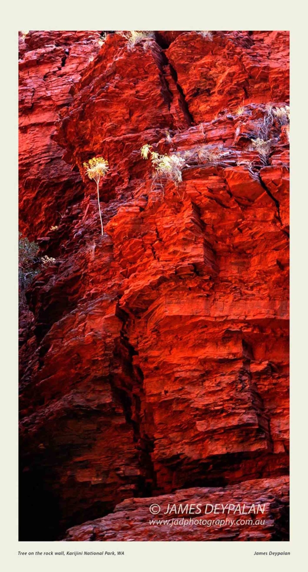 hand-rail-pool-weano-gorge