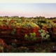 joffre-gorge-karijini-national-park