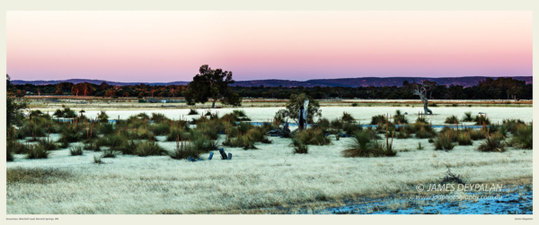 grass-trees