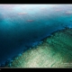 ribbon-reef-great-barrier-reef