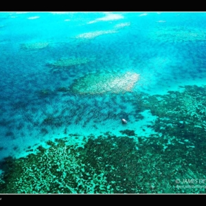 great-barrier-reef