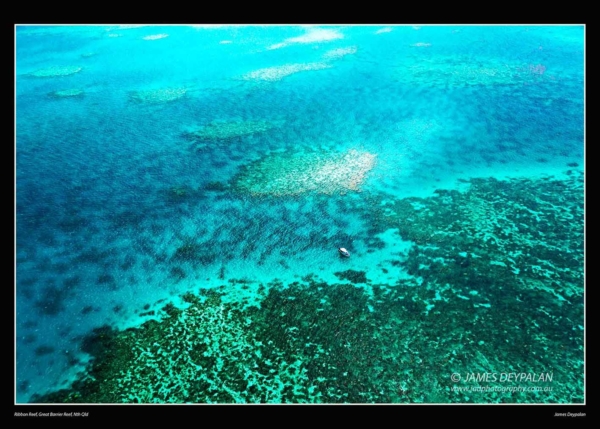 great-barrier-reef