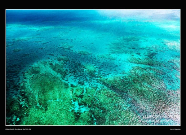 great-barrier-reef-ribbon-reef