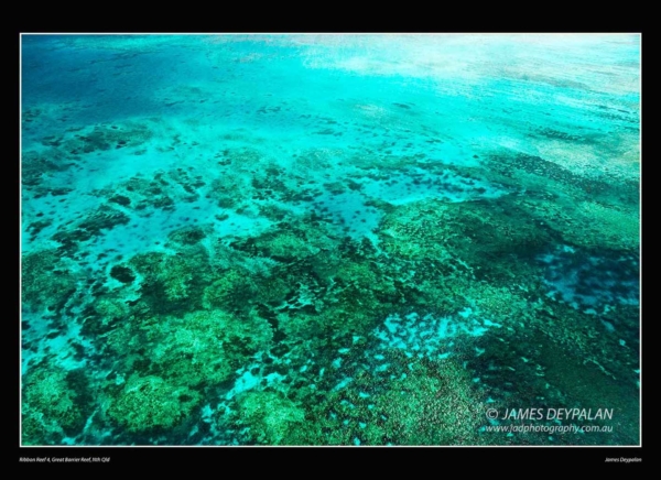 great-barrier-reef-ribbon-reef