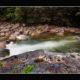 mossman-gorge-north-queensland