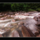 mossman-gorge-nth-queensland