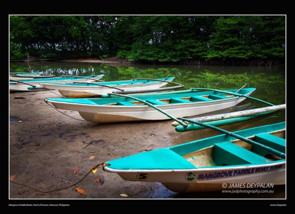 mangrove-paddle-boat