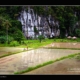 karst-mountain-palawan-philippines