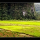 karst-mountain-rice-field