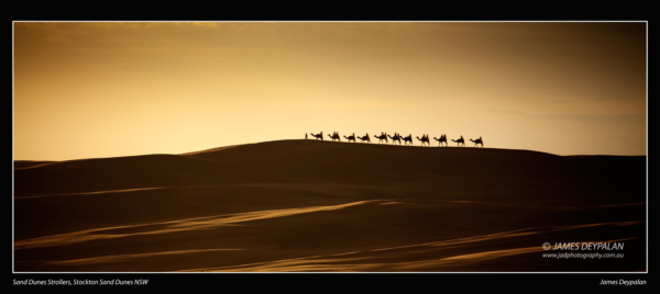 stockton-sand-dunes-nsw